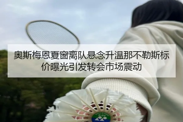奥斯梅恩夏窗离队悬念升温那不勒斯标价曝光引发转会市场震动