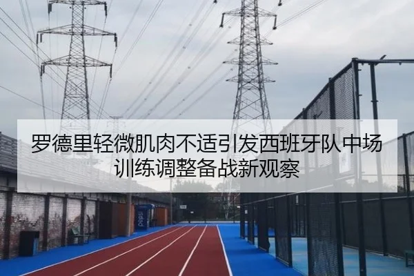 罗德里轻微肌肉不适引发西班牙队中场训练调整备战新观察
